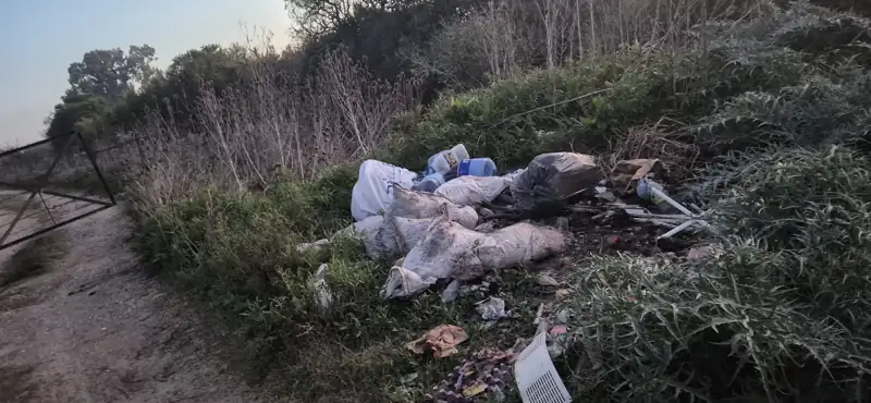 Foto del reporte