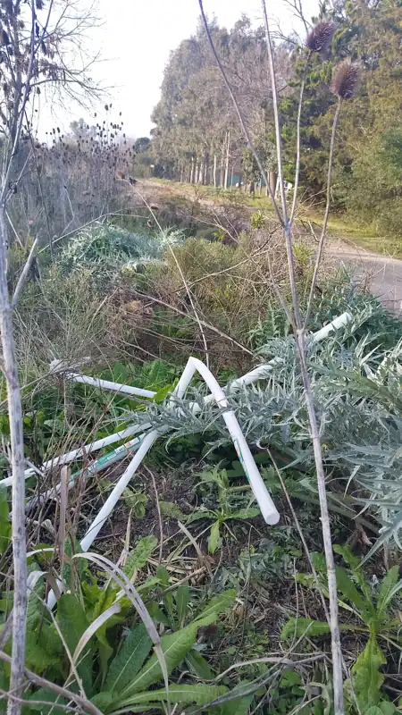 Foto del reporte
