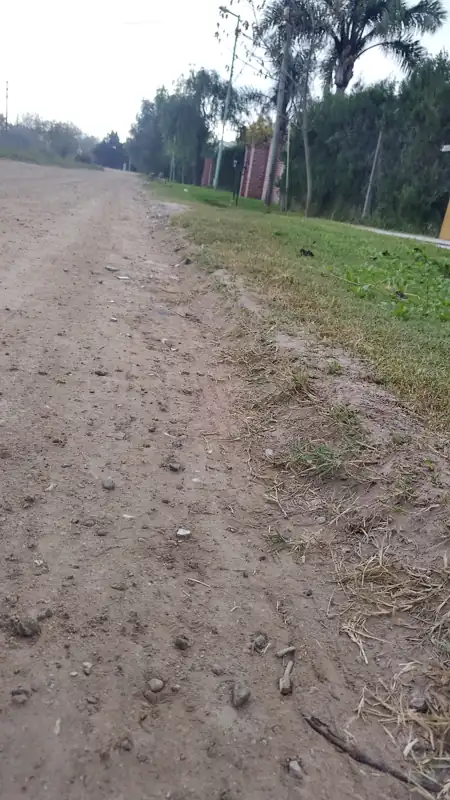 Foto del reporte