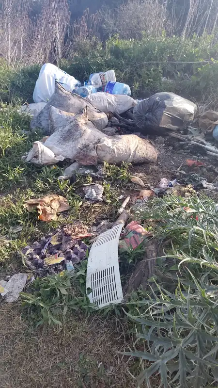 Foto del reporte